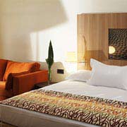4 photo hotel RADISSON SAS AT DISNEYLAND PAR, Paris, France