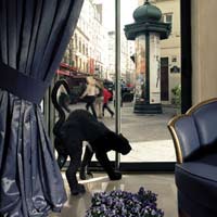 3 photo hotel HOTEL DES DUCS D ANJOU, Paris, France